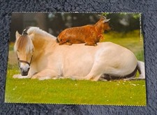 Pferde postkarte ziege gebraucht kaufen  Hamburg