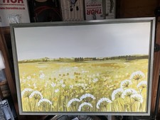 Janet bell daisy for sale  NORTHAMPTON