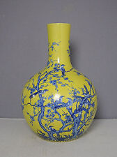 Large chinese yellow for sale  El Sobrante