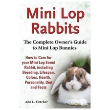 Mini lop rabbits for sale  Minneapolis