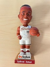 Lebron james cleveland for sale  Medina