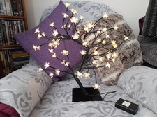 Cherry blossom tree for sale  WREXHAM