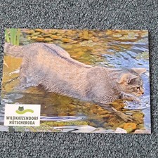 Tier postkarte wildkatze gebraucht kaufen  Hamburg