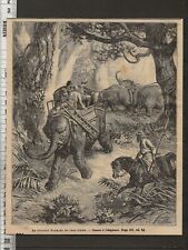 G347 gravure 1881 d'occasion  Amiens-