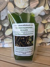 250ml phyto nannochloropsis for sale  BILSTON