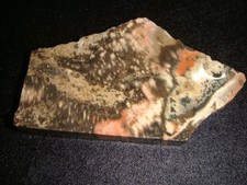 Old john petrified for sale  Dyer