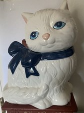 Precious kitty cat for sale  New Preston Marble Dale