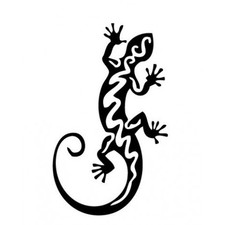 Salamandre autocollant sticker d'occasion  Billère