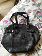 Stunning blondie mania for sale  NARBERTH