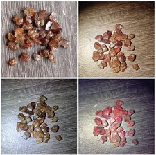 34cts 100 natural d'occasion  Garges-lès-Gonesse