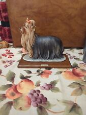Yorkshire silky terrier for sale  Tacoma