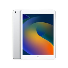 Apple ipad mini usato  Italia