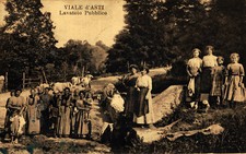 Viale asti asti usato Viale asti asti usato  Stella