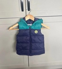 Blue dinosaur themed for sale  UK