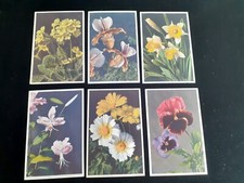 Cartes postales fleurs d'occasion  Bretteville-l'Orgueilleuse
