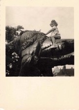 Ancienne photographie 1950 d'occasion  Nogent-sur-Marne
