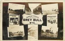 Rppc postcard grey for sale  Redding