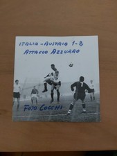 troia foto usato troia foto usato Savignano sul Panaro