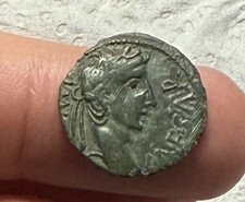 aigle imperiale d'occasion aigle imperiale d'occasion  France