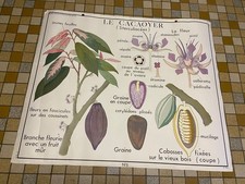 Affiche scolaire cacaoyer d'occasion  Herbault