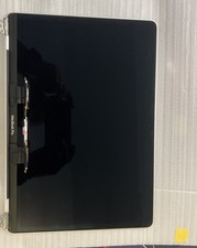 Display macbook pro usato  Rozzano