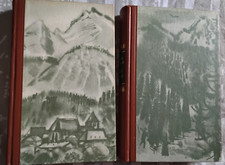 Ludwig ganghofer waldrausch gebraucht kaufen  Cadenberge