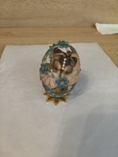 butterfly eggs for sale  NORTHALLERTON