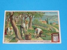 Chromo 1907 liebig d'occasion  Vendat