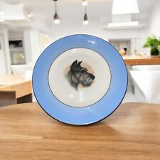 Small scottish terrier for sale  WOTTON-UNDER-EDGE