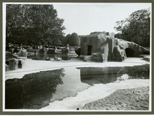 Parc zoologique bois d'occasion  Expédié en Belgium