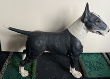 Chapman english bull for sale  FOLKESTONE