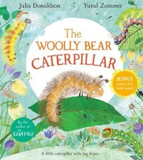 Woolly bear caterpillar for sale  UK