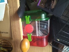 Tiny tales hamster for sale  North Myrtle Beach