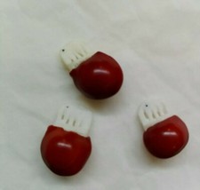 Seme portafortuna indiano usato  Scandicci