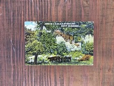 Vintage 1913 postcard for sale  Adel