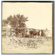 Egypte système irrigation d'occasion  Pagny-sur-Moselle