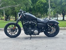 2019 harley davidson for sale  Hollywood