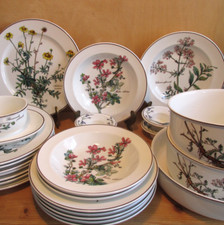 Villeroy boch botanica gebraucht kaufen  Braunschweig