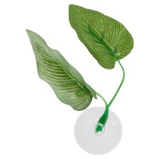 Betta fish leaf for sale  MANCHESTER