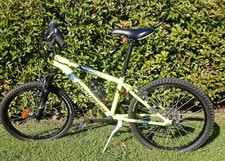 Bicicletta mountain bike usato  Barga
