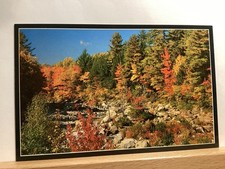 Folhagem brilhante ao longo do rio Swift: White Mountains, NH - Cartão postal antigo comprar usado Folhagem brilhante ao longo do rio Swift: White Mountains, NH - Cartão postal antigo comprar usado  Enviando para Brazil