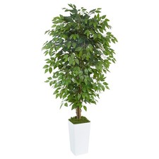Artificial ficus tree for sale  Winthrop