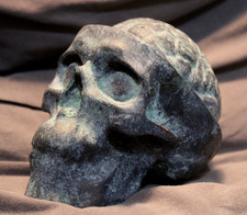 Anatomical head brain for sale  Lenexa