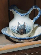 Doberman mini pitcher for sale  Richford
