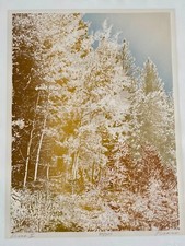 Paula crane etching for sale  Salt Lake City