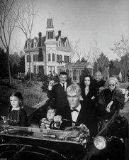 Addams family portrait for sale  USA