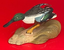 Northern shoveler duck for sale  Cathedral City