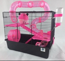 Bernie large dwarf for sale  LIVERPOOL