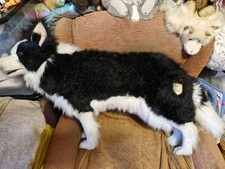 Hansa border collie for sale  BRIGHTON