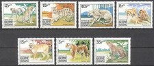 Catlike tigre guinea usato  Spedire a Italy